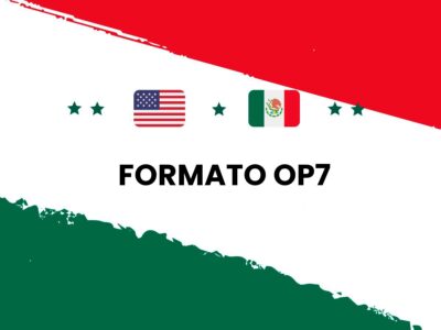 Formato OP7: autorización de pasaporte para menores sin padres presentes